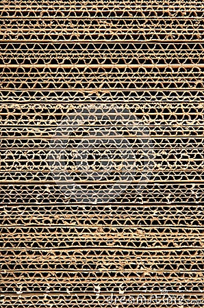 Corrugated Cardboard Texture