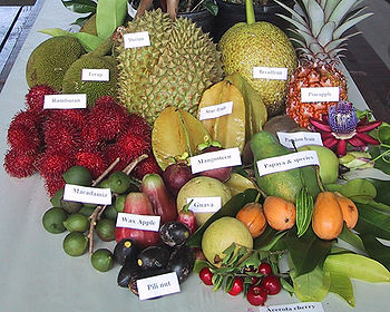 Frutas Tropicales Exoticas