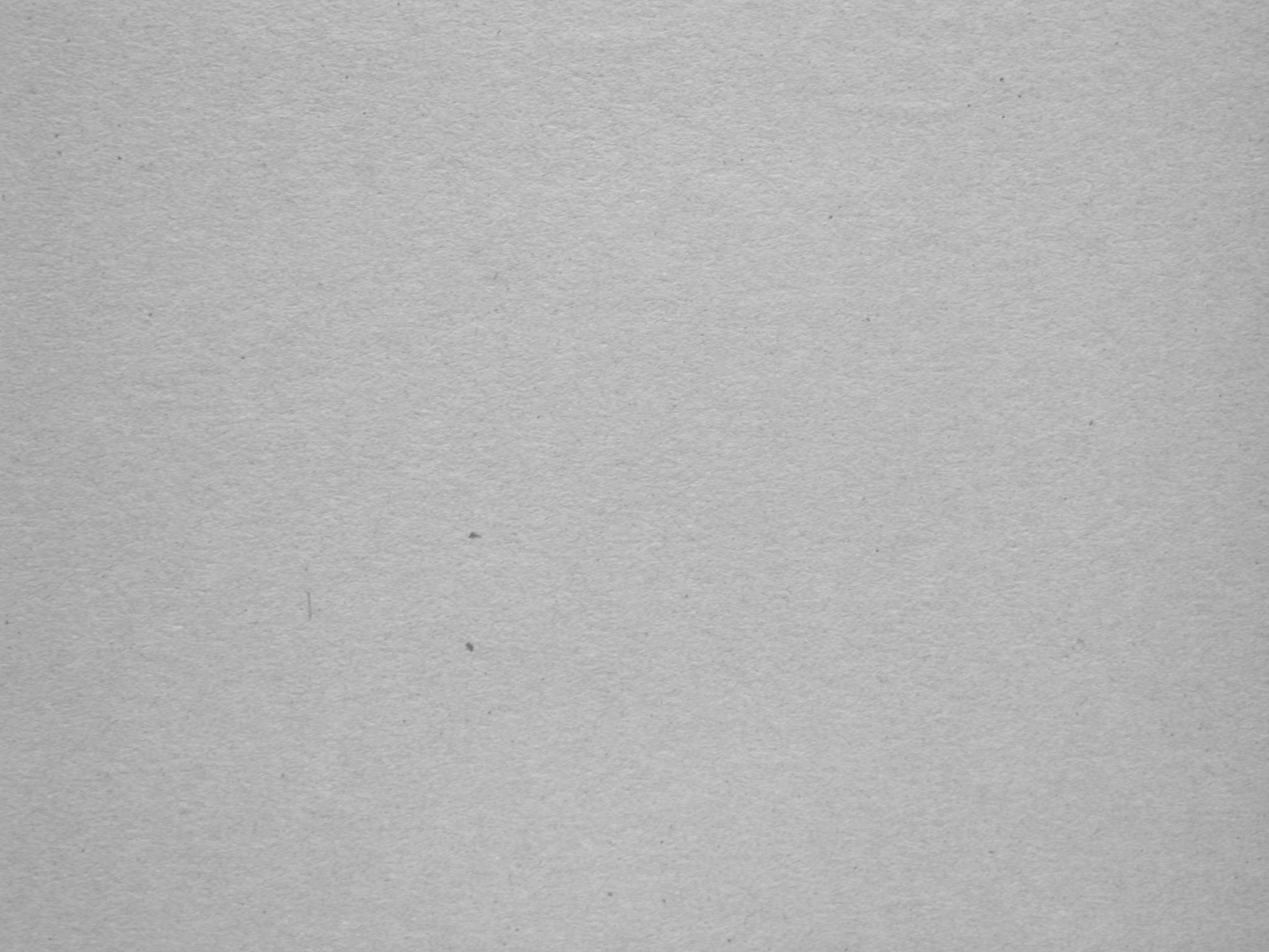 Grey Cardboard Texture
