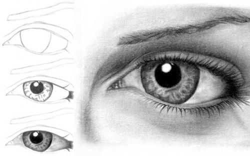 Human Eye Drawing