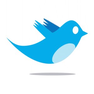 New Twitter Logo Png