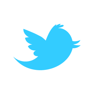 New Twitter Logo Png