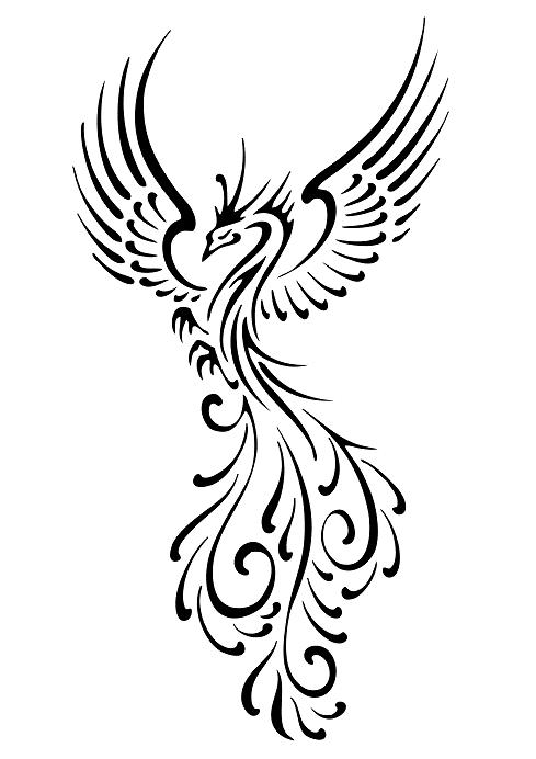 Phoenix Bird Of Fire Meaning