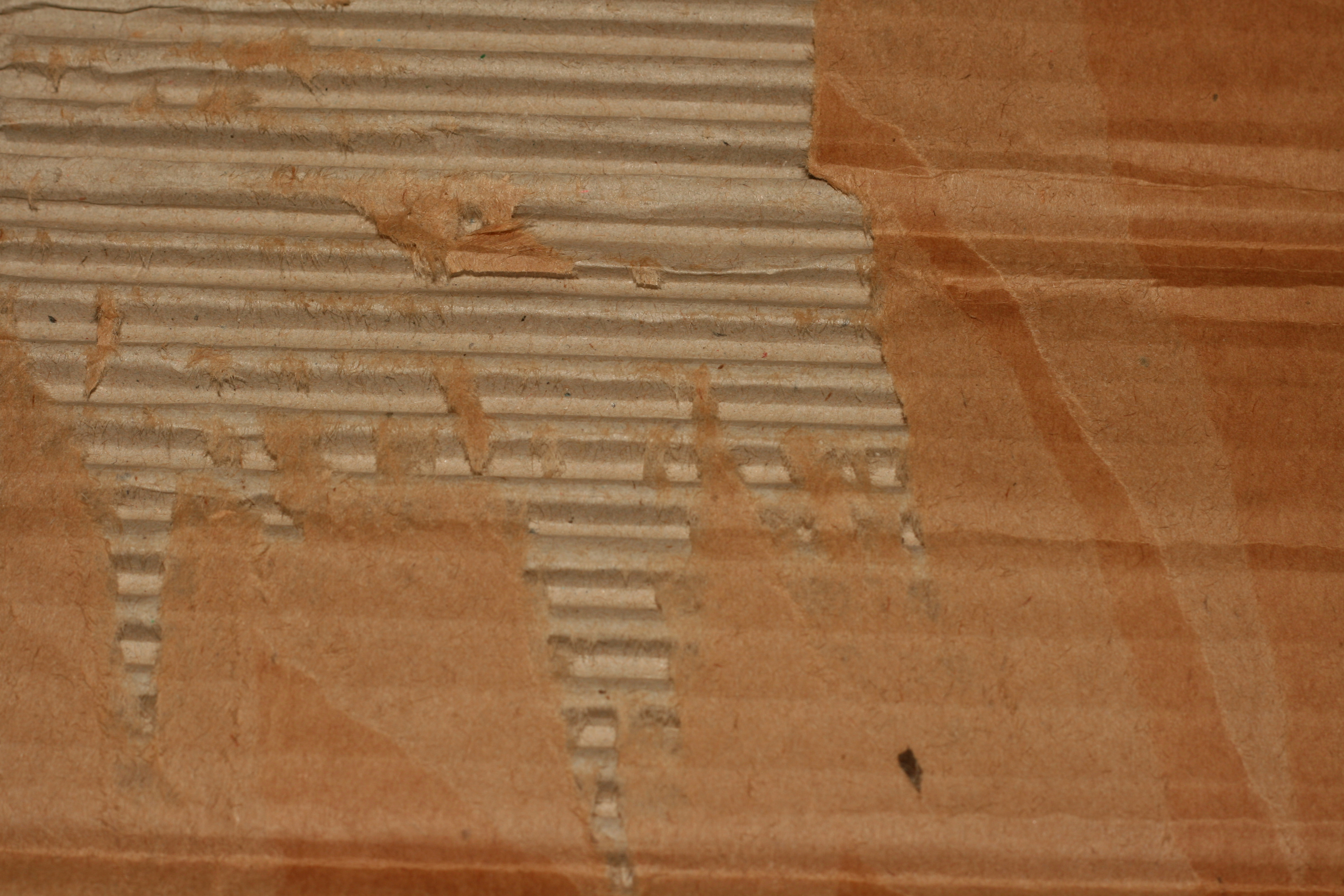 Rough Cardboard Texture