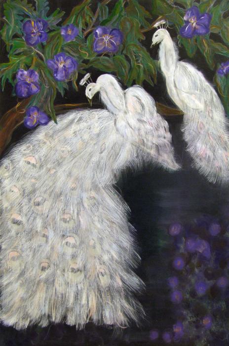 Albino Peacock For Sale