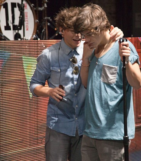 Louis Tomlinson And Harry Styles Bromance