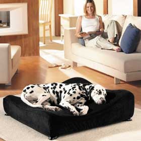 Sofa Bed Reviews Uk